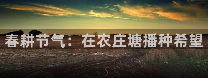 天辰娱乐文案