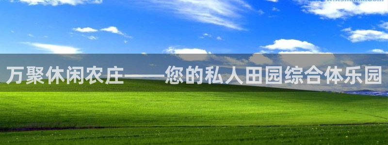 广东天辰娱乐
