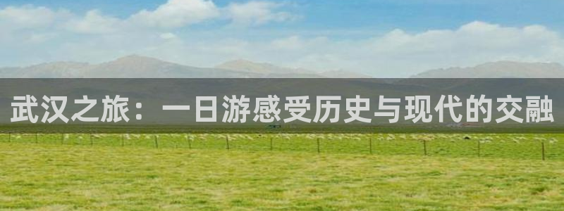 天辰平台娱乐