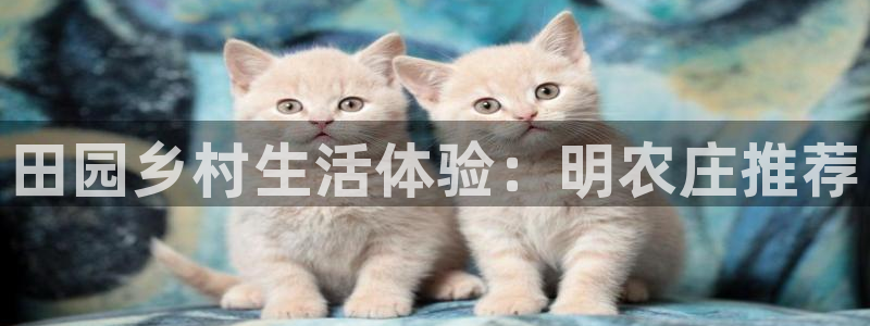 天辰2娱乐