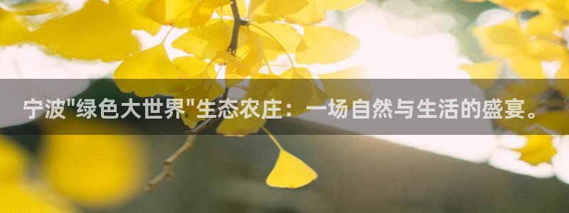天辰彩票娱乐