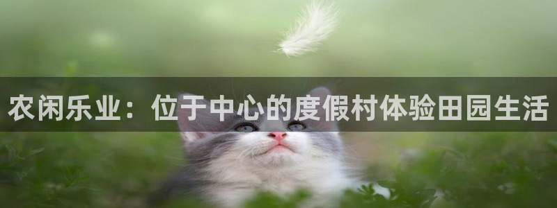 手机上怎么下载天辰娱乐