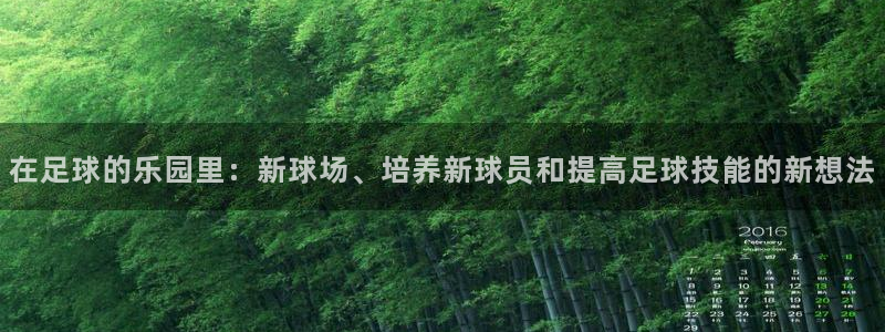 天辰娱乐公司