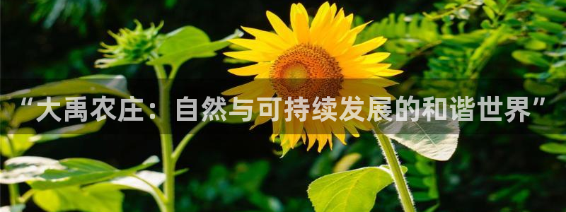 天辰娱乐1980