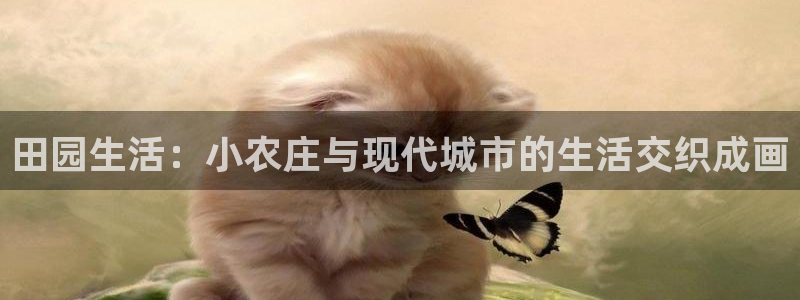 徐州天辰娱乐