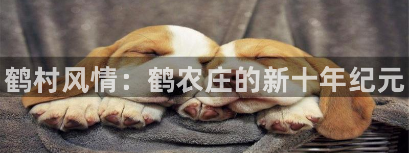 下载天辰娱乐