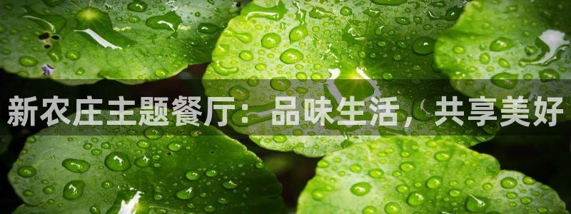 天辰娱乐 849852