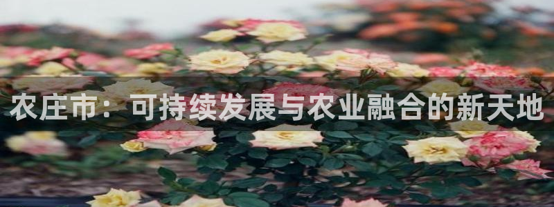 天辰娱乐平台测速
