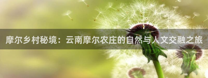 天辰娱乐75775