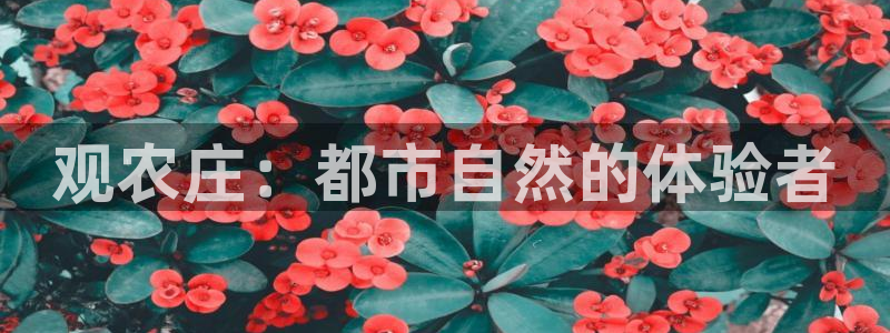 天辰娱乐1980