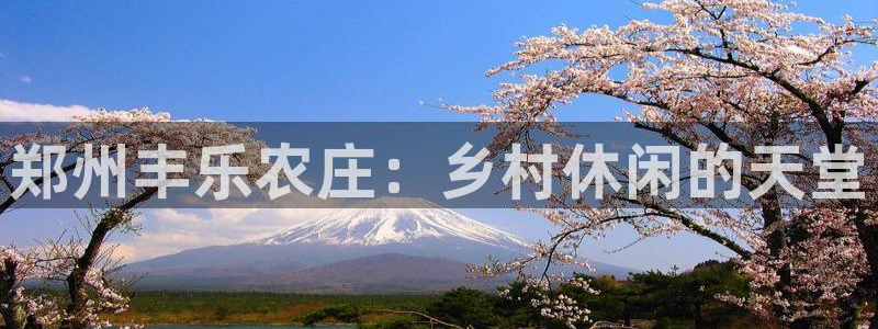 天辰娱乐51137