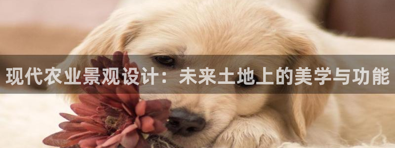 天辰娱乐指尖所