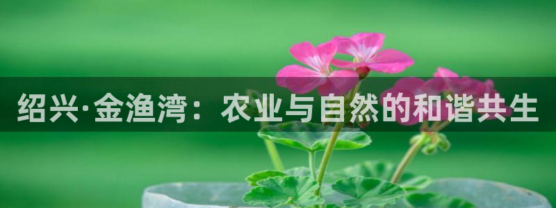 天辰娱乐娱乐