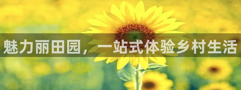 天辰娱乐下载地址
