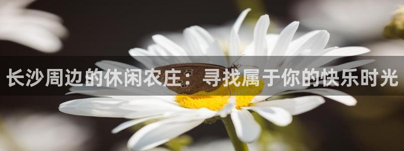 天辰娱乐44516