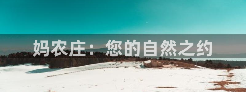 天辰娱乐软件