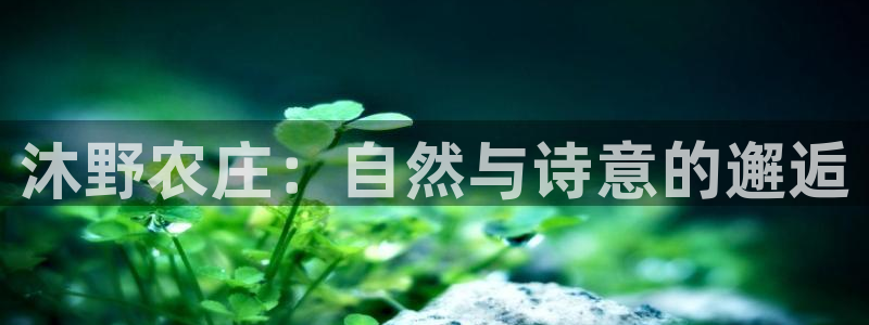 天辰在线娱乐