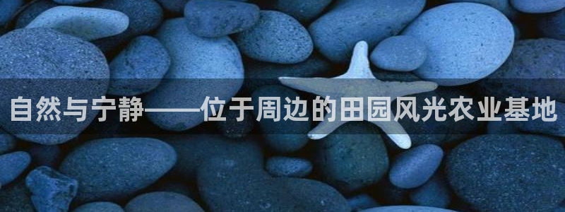 北京天辰娱乐