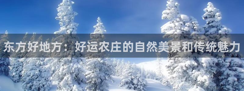 天辰娱乐入口