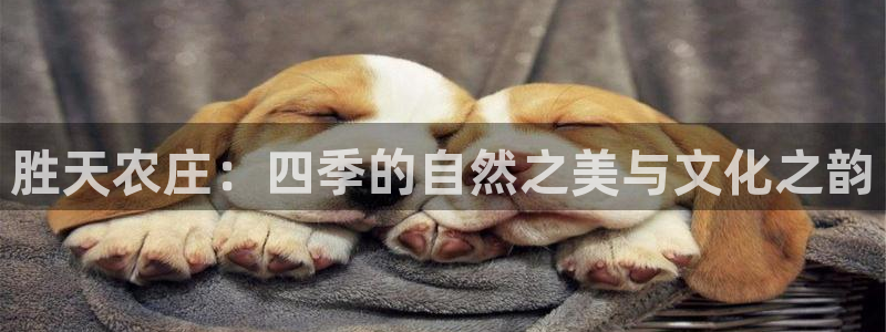 天辰线上娱乐