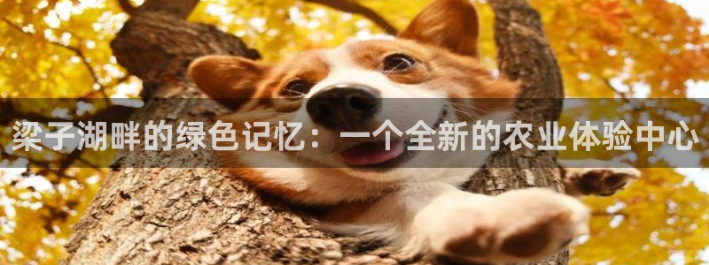 天富娱乐与天辰娱乐