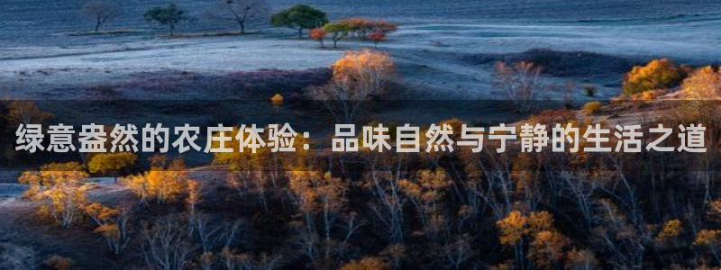 天辰娱乐在线