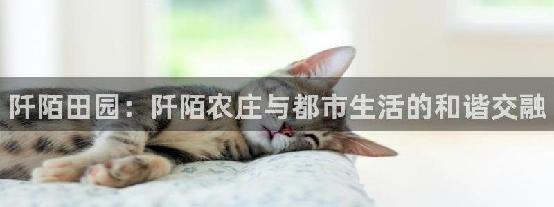 天辰娱乐电话