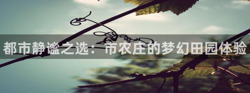 天辰娱乐平台地址