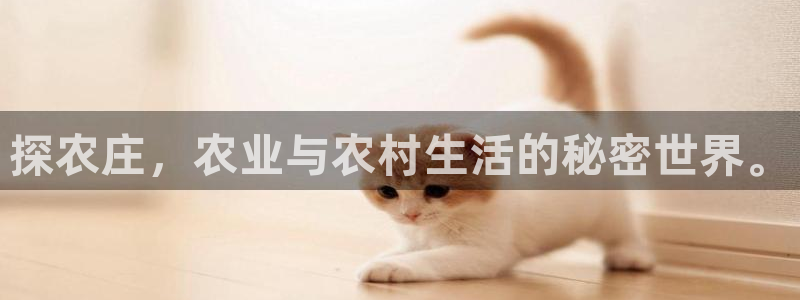 天辰娱乐好吗