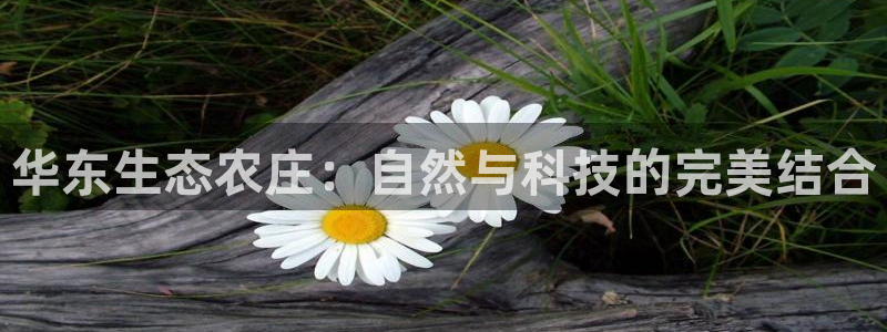 天辰娱乐游戏平台怎么样