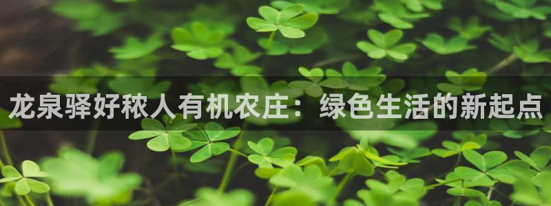 天辰娱乐厕所
