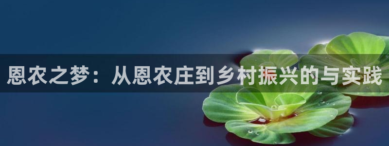 天辰娱乐平台测速