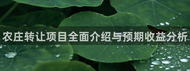 天辰团队贝高娱乐