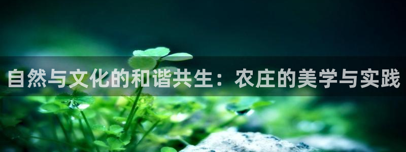 大同天辰娱乐