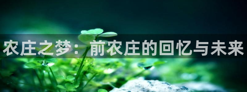 天辰娱乐下载地址