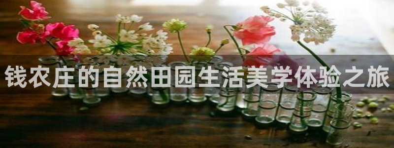 天辰娱乐线路