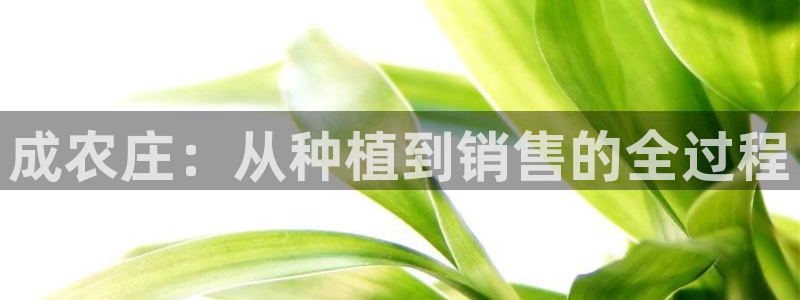 天辰娱乐平台靠谱么