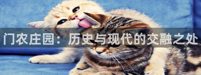天辰娱乐说