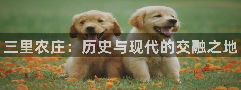 天辰娱乐代理