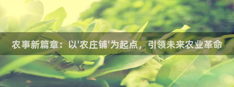 天辰娱乐软件