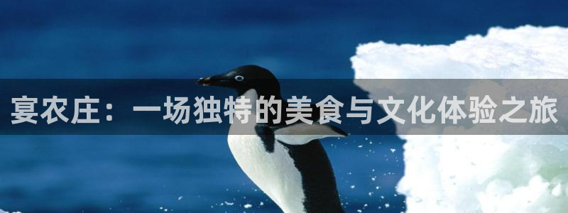 天辰辰娱乐代理