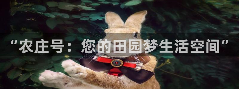 天辰娱乐主页