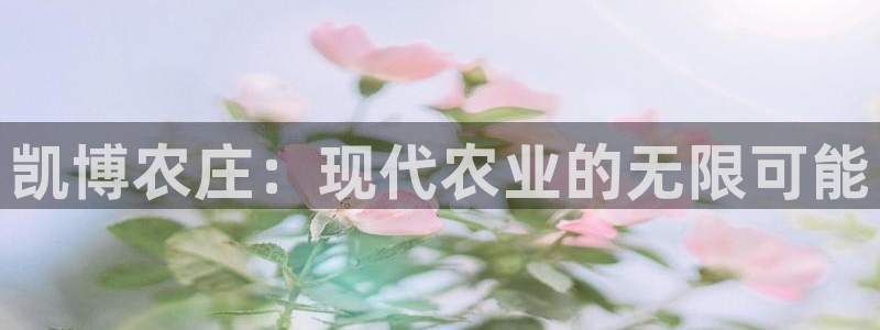 天辰娱乐61116