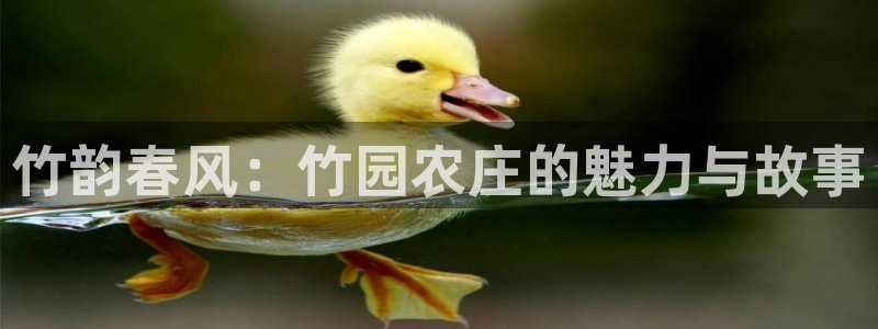 天辰娱乐十分彩