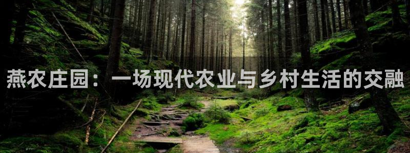 天辰娱乐跑的快