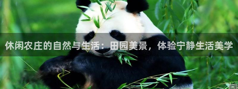 桂林天辰娱乐