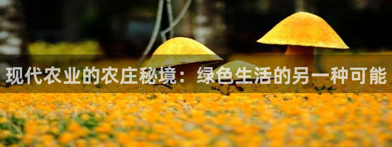 天辰娱乐885544