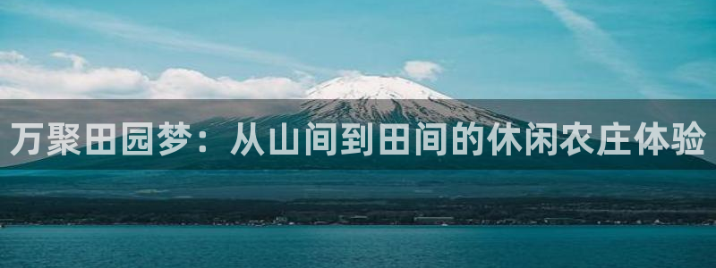 天辰娱乐分红