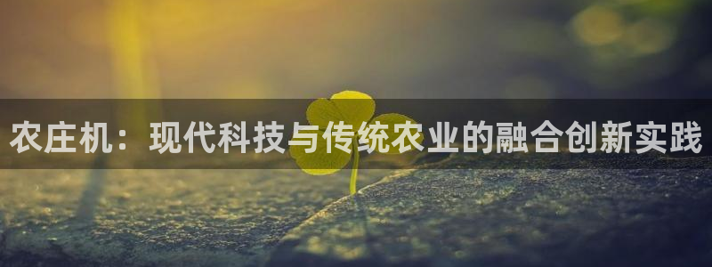天辰娱乐线路