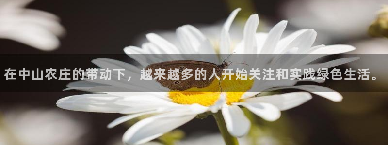 天辰娱乐-q